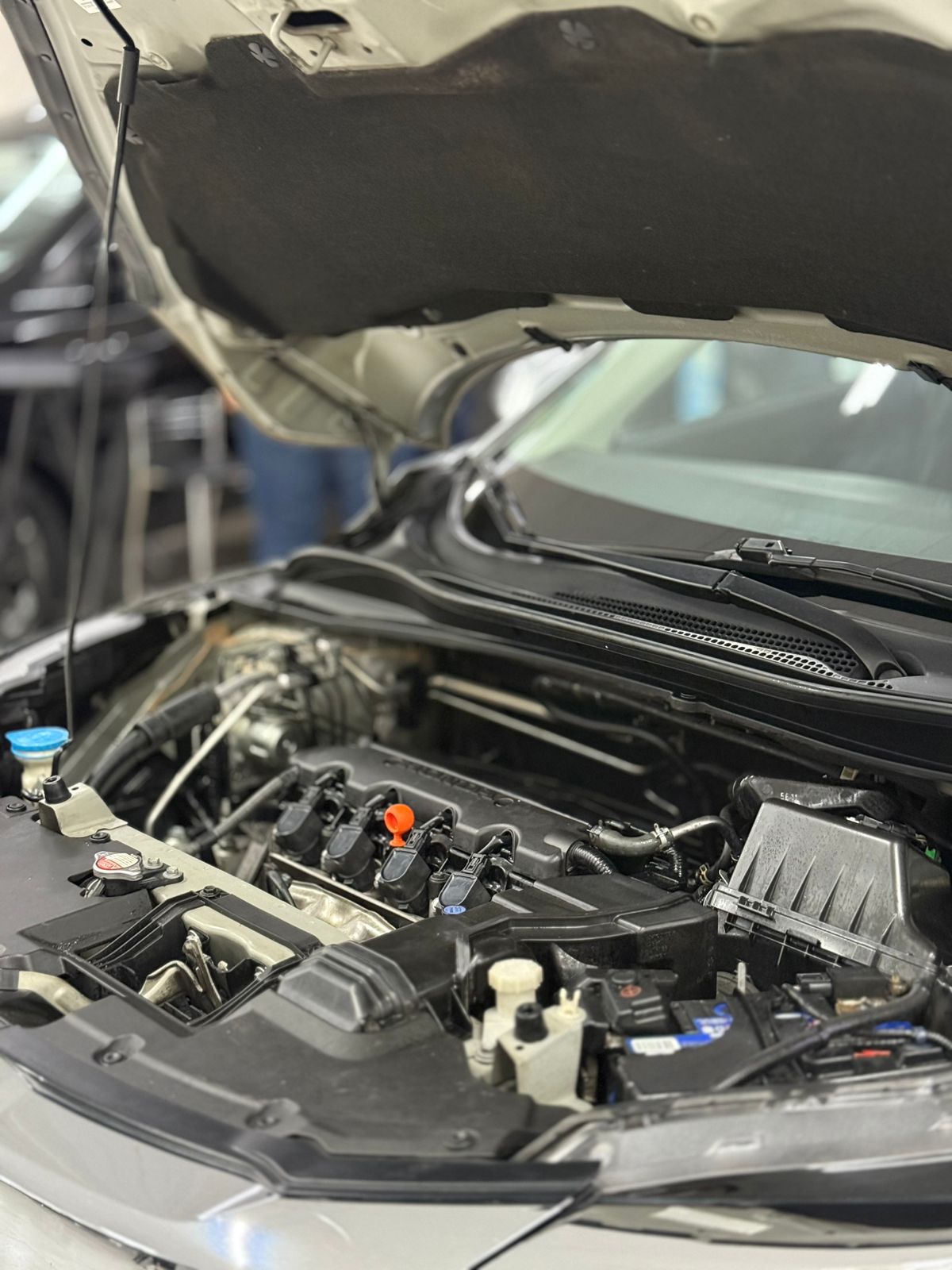 WhatsApp Image 2025-11-22 at 12.44.53